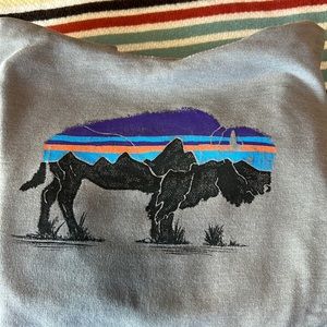 Patagonia Lightweight Hoodie